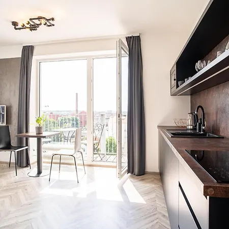 Zeppelin Studio With An Industrial View - 브르노